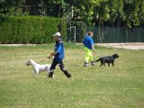 DSC08011.jpg