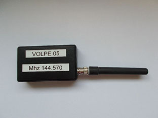 Volpe_1